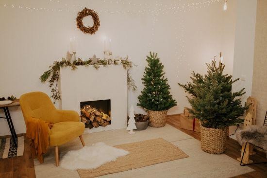 winter greenery in living room