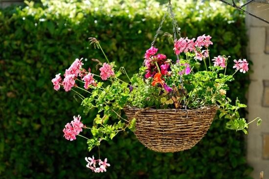 hanging baskets