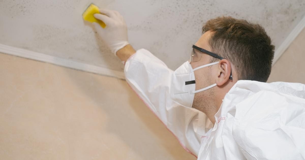 Expert Advice on Dealing with Damp and Mould