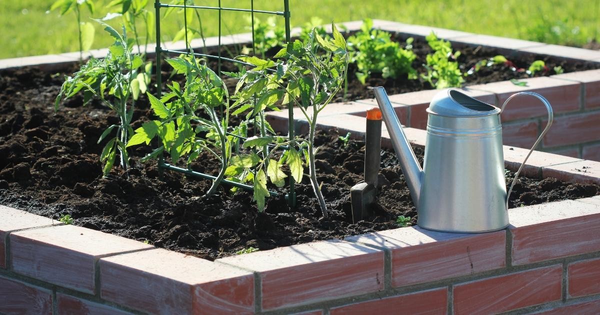 How to Build a Raised Garden Bed