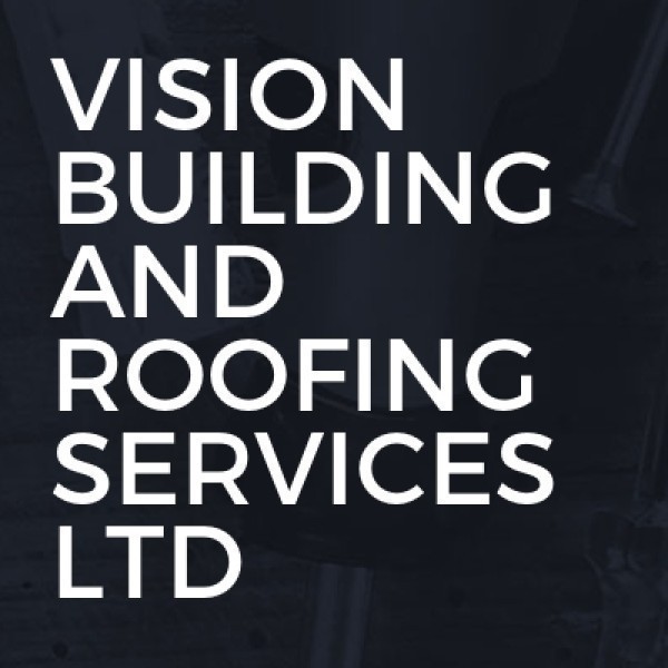 Vision building and roofing services ltd logo