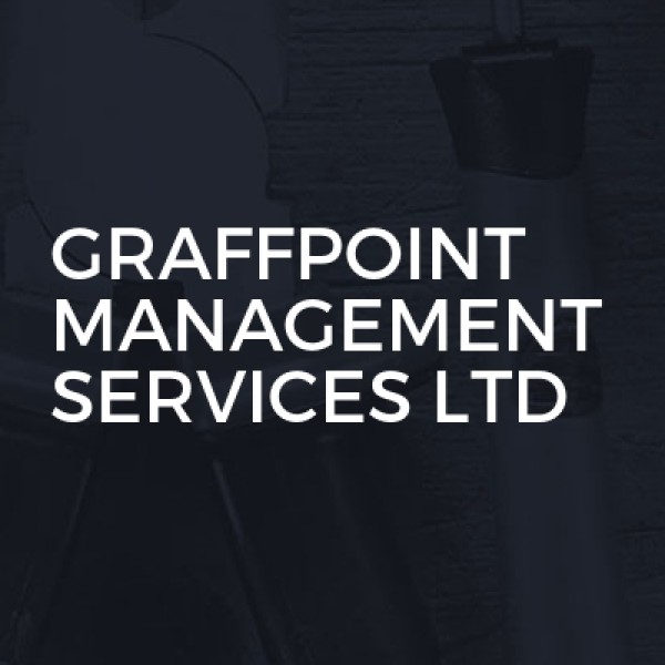 GRAFFPOINT MANAGEMENT SERVICES LTD logo