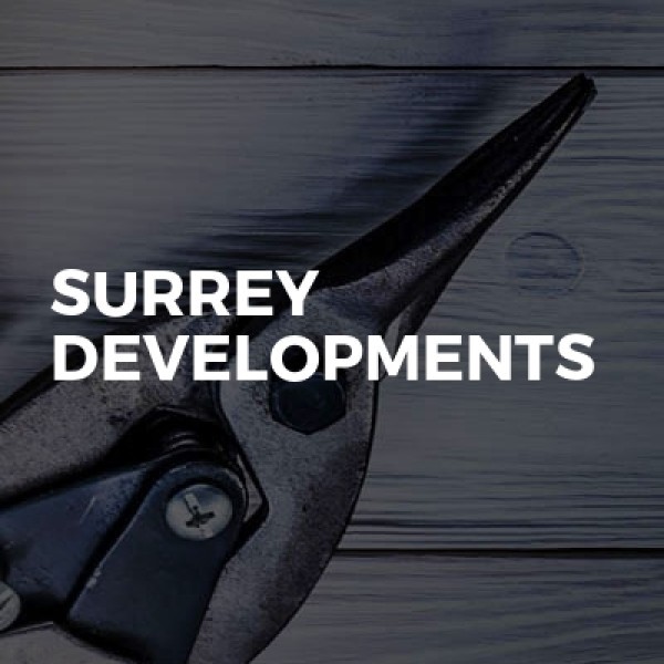 Surrey Developments Walton LTD logo