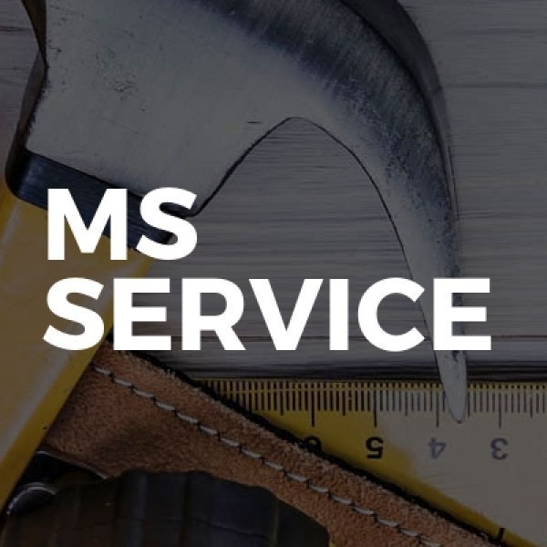 Ms Service logo