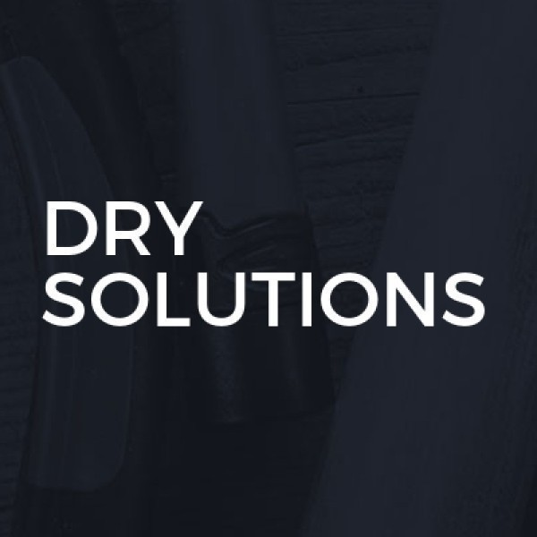 Dry Solutions logo