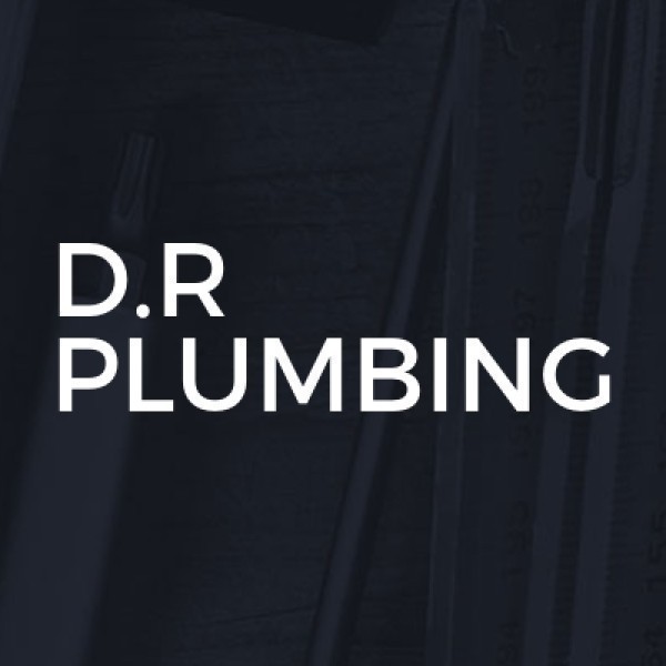 D.R Plumbing logo