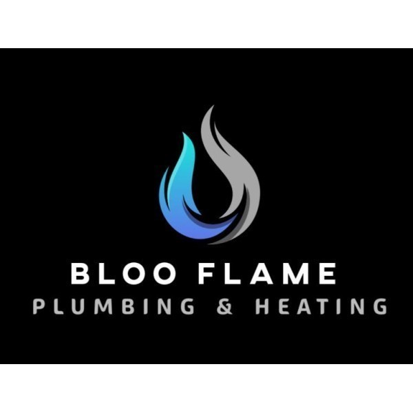 Bloo Flame Limited logo