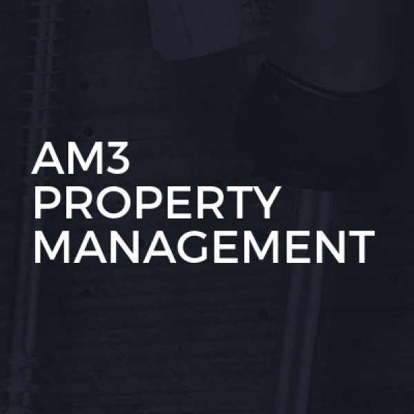 Am3 Property Management logo