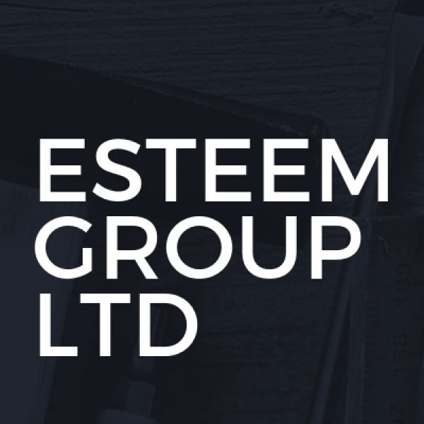 Esteem Group Ltd logo