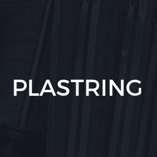  WD Plastering Services logo