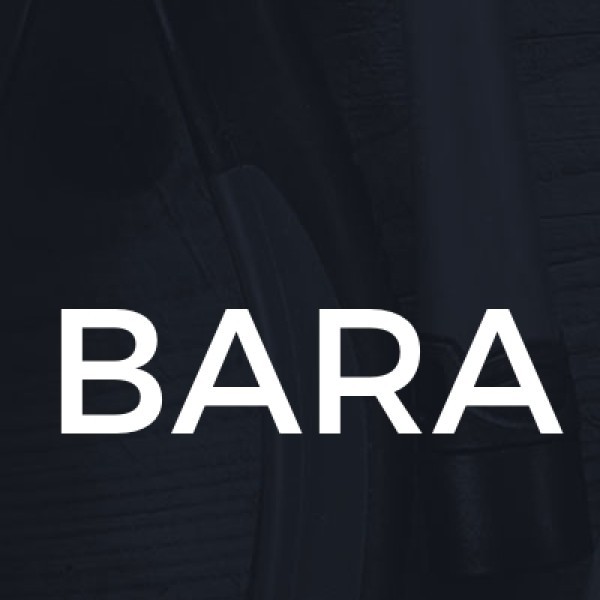 Bara I logo