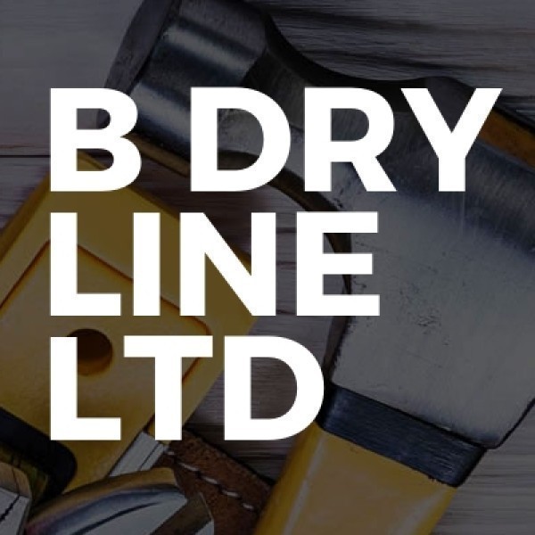 B DRYLINING Ltd logo