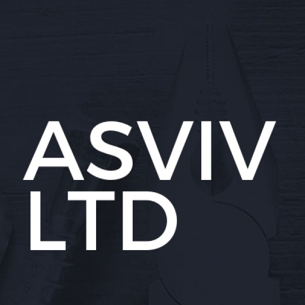 ASVIV LTD logo