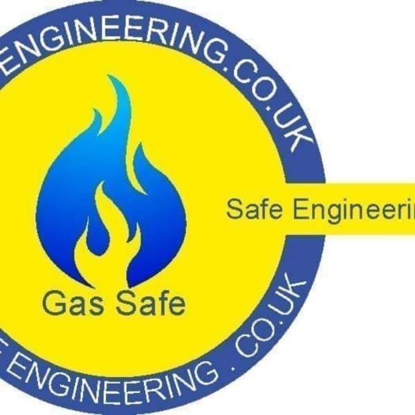 Safe Engineering Ltd logo