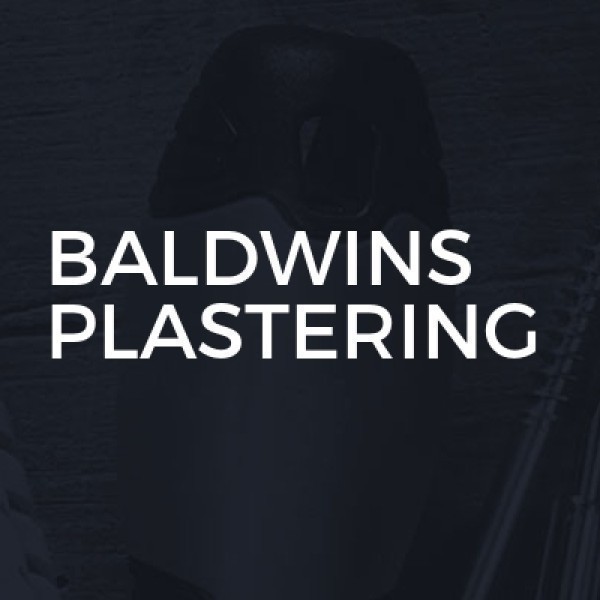 Baldwins Plastering logo