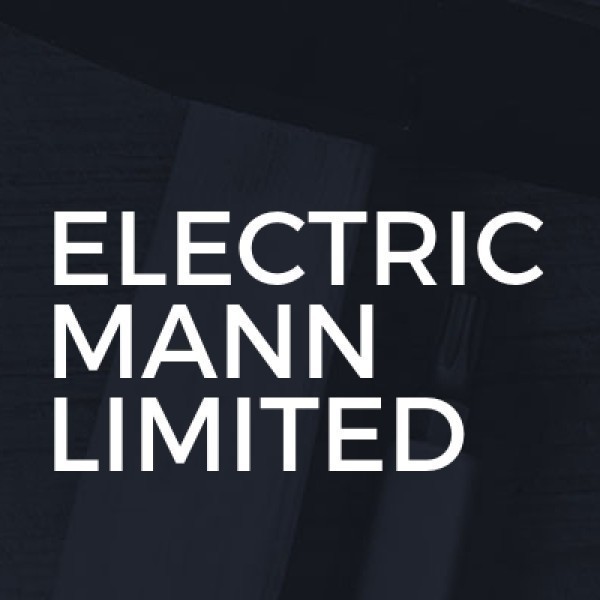 ELECTRIC MANN LIMITED logo