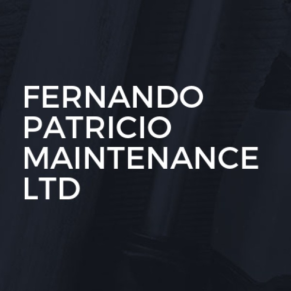Fernando Patricio Maintenance Ltd logo