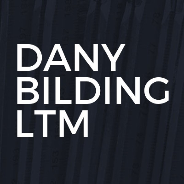 Dany BUILDING LTD logo