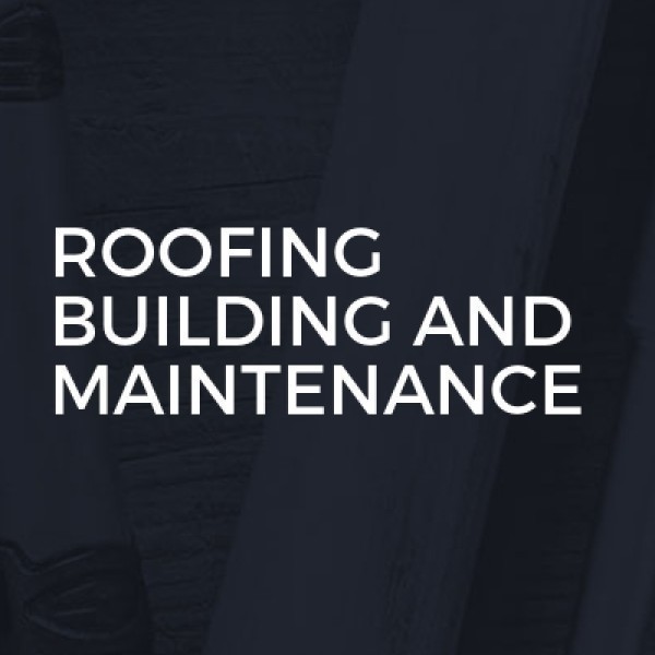 Roofing Building And Maintenance logo