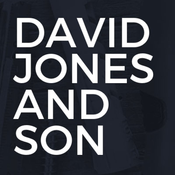 David Jones And Son logo