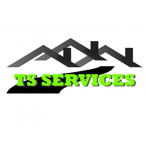 TS All Services logo