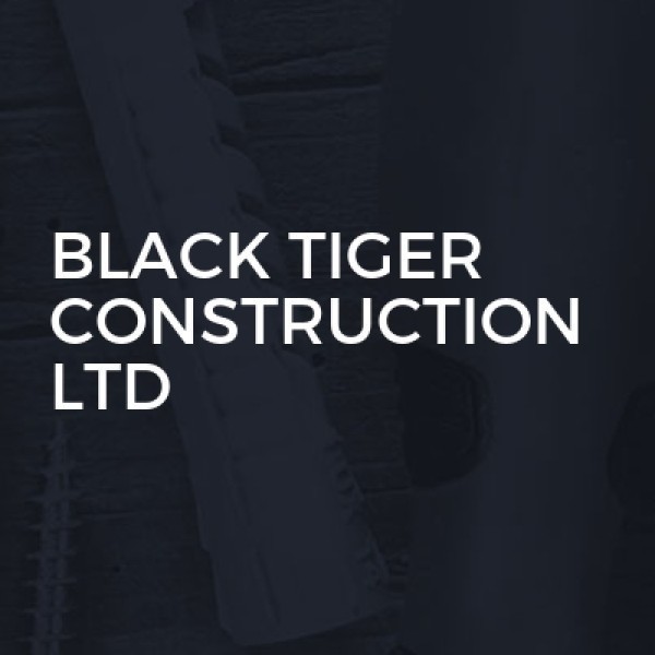 Black Tiger Construction LTD logo
