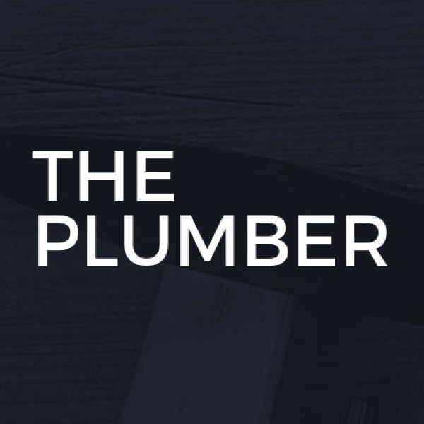 The Plumber logo