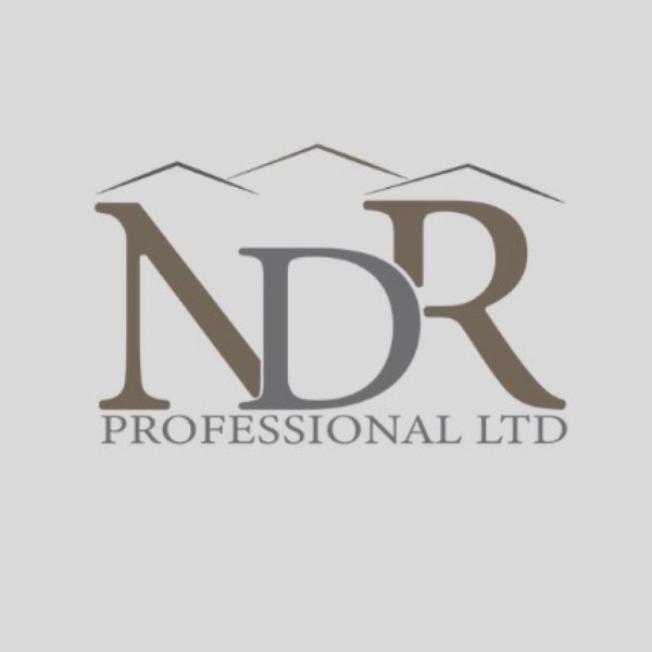 NDR PROFESSIONAL LTD logo