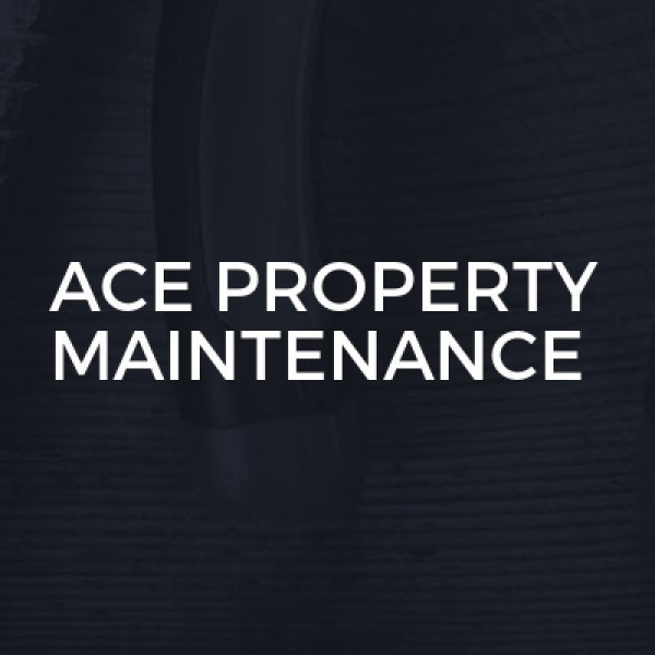 ACE Property Maintenance logo