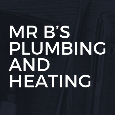 Mr B’s Plumbing And Heating logo